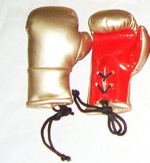 fancey boxing glove key ring